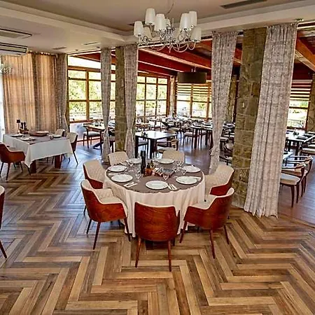 Aria Hotel Podgorica