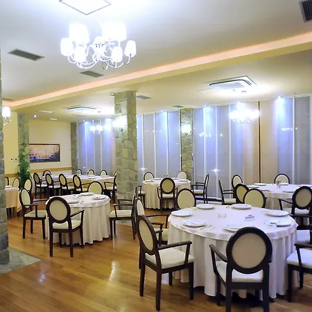 Aria Mitrovici (Podgorica)